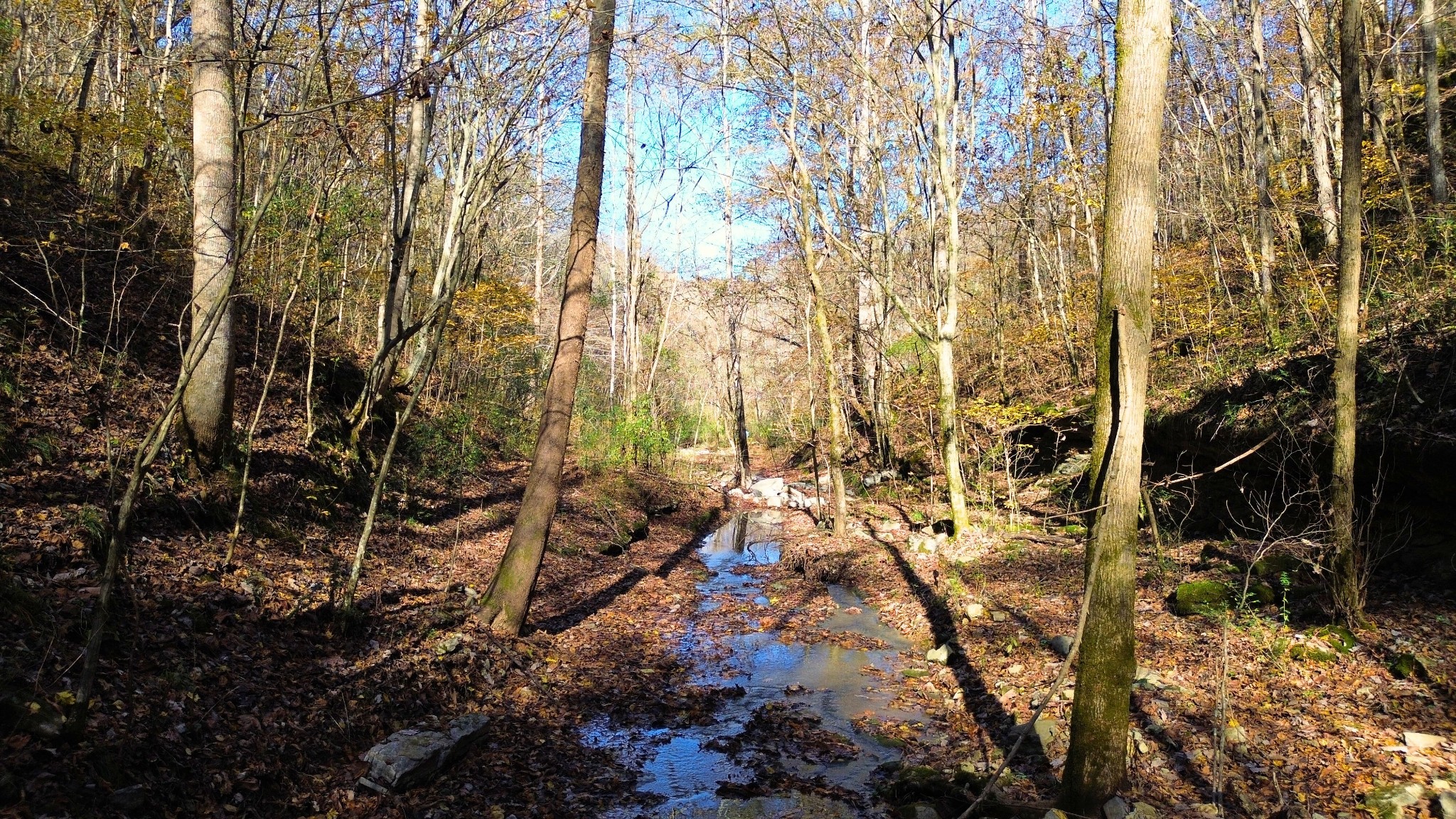 0 Hollis Creek Road S Woodbury TN 37190
