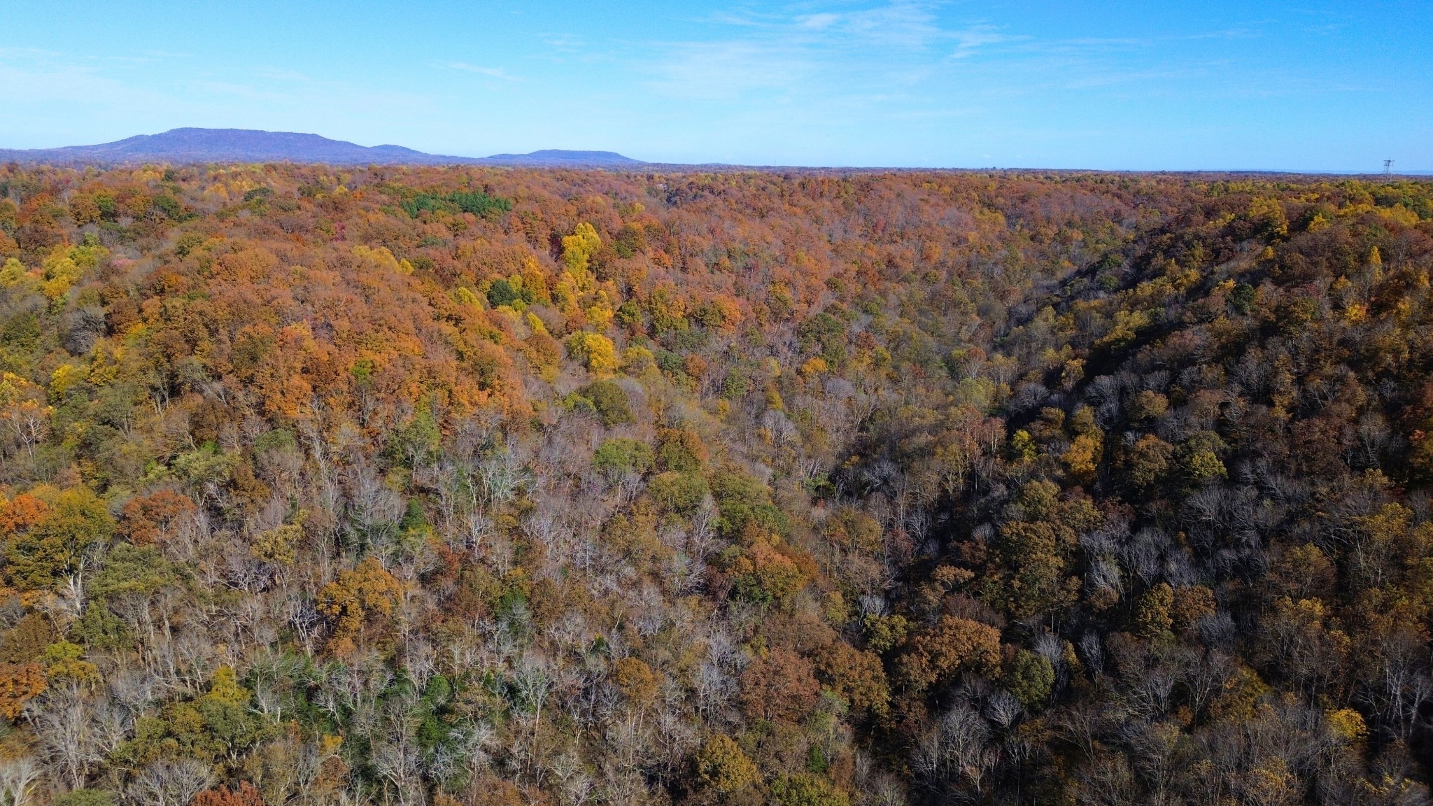 0 Hollis Creek Road S Woodbury TN 37190