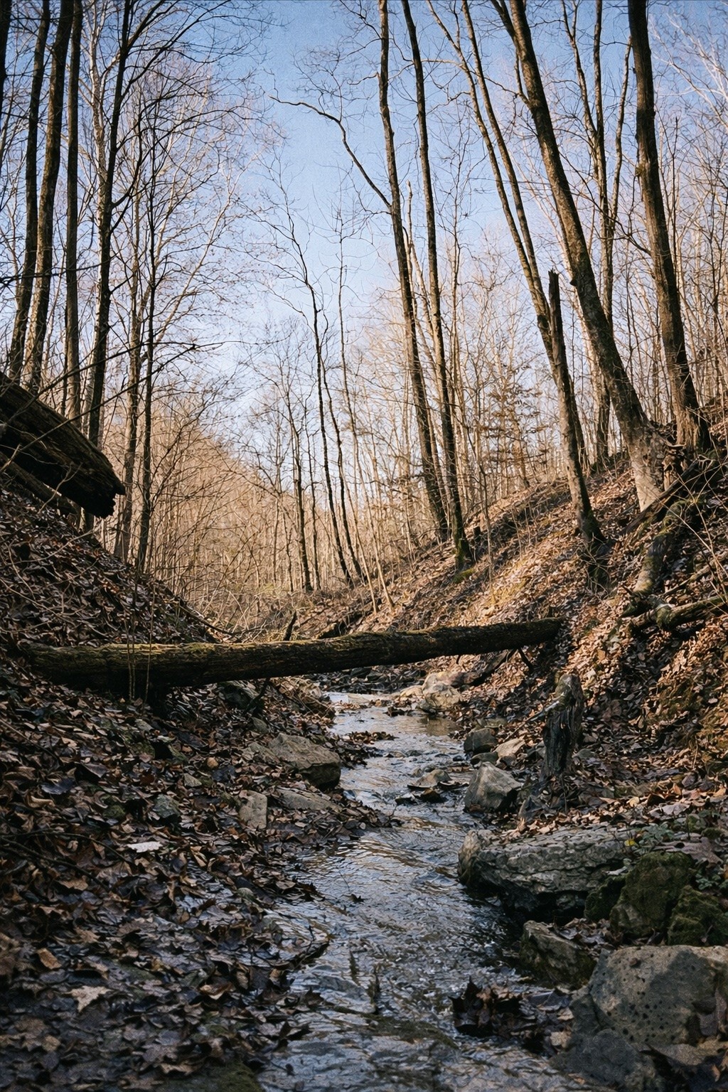 0 Hollis Creek Road S Woodbury TN 37190