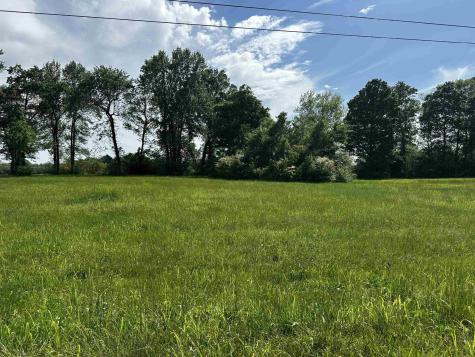0 Catfish Lane Crump TN 38327