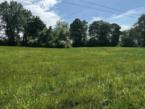 0 Catfish Lane Crump TN 38327