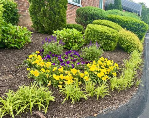 1414 Continental Drive Chattanooga TN 37405