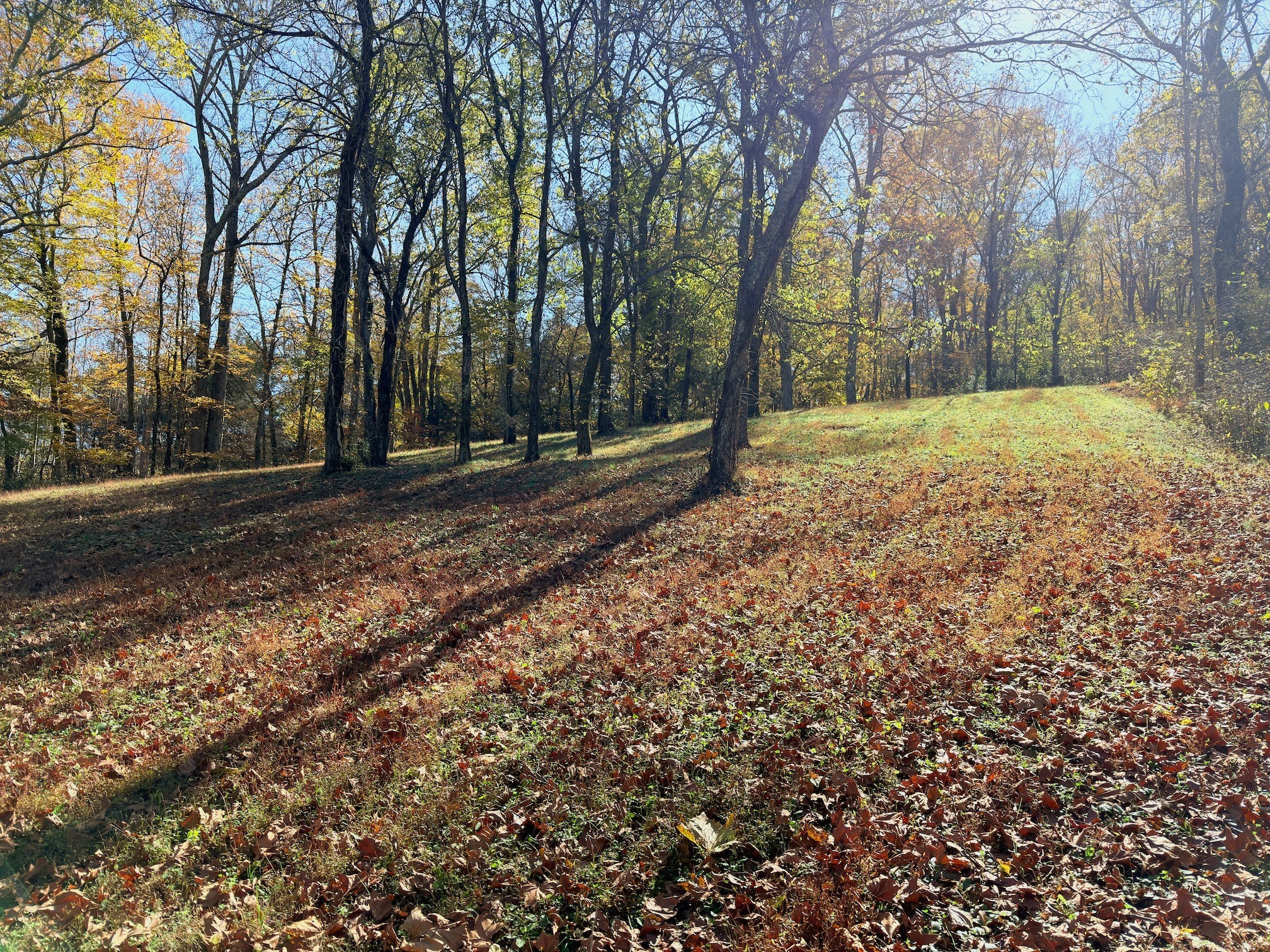 3955 Kennedy Creek Road Auburntown TN 37016