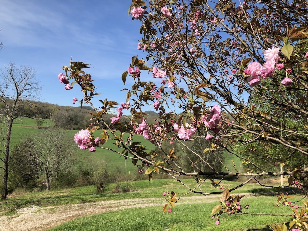 3955 Kennedy Creek Road Auburntown TN 37016