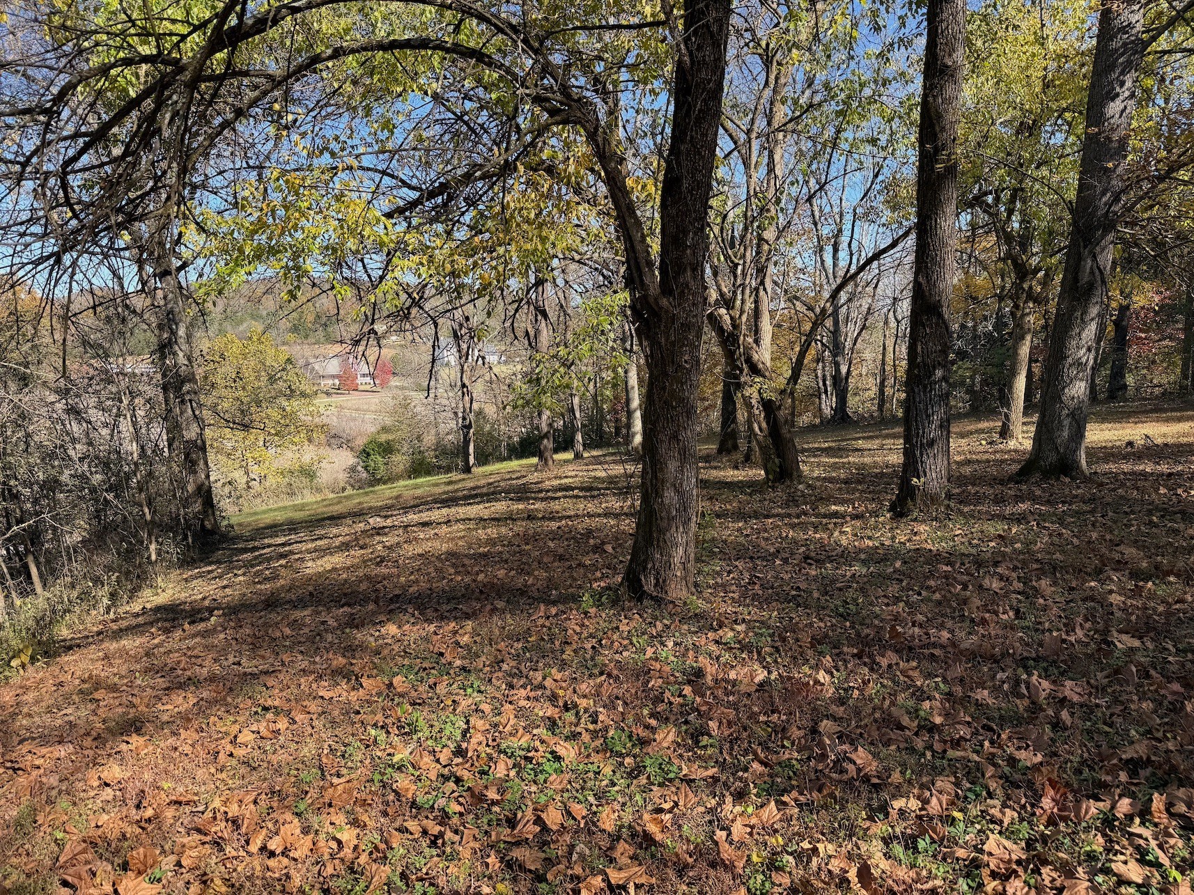 3955 Kennedy Creek Road Auburntown TN 37016