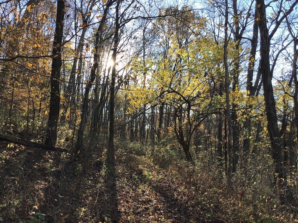 3955 Kennedy Creek Road Auburntown TN 37016