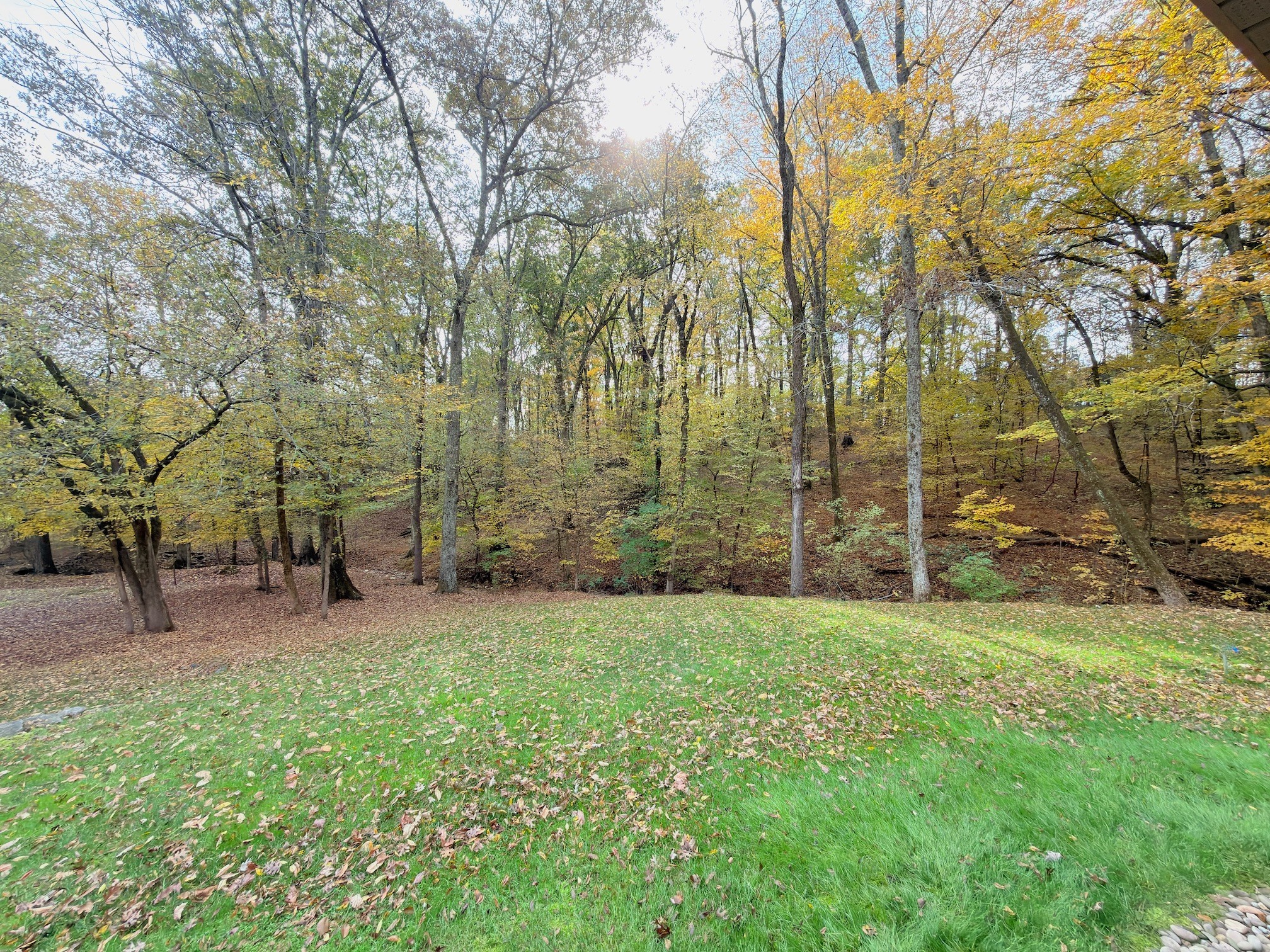 3955 Kennedy Creek Road Auburntown TN 37016