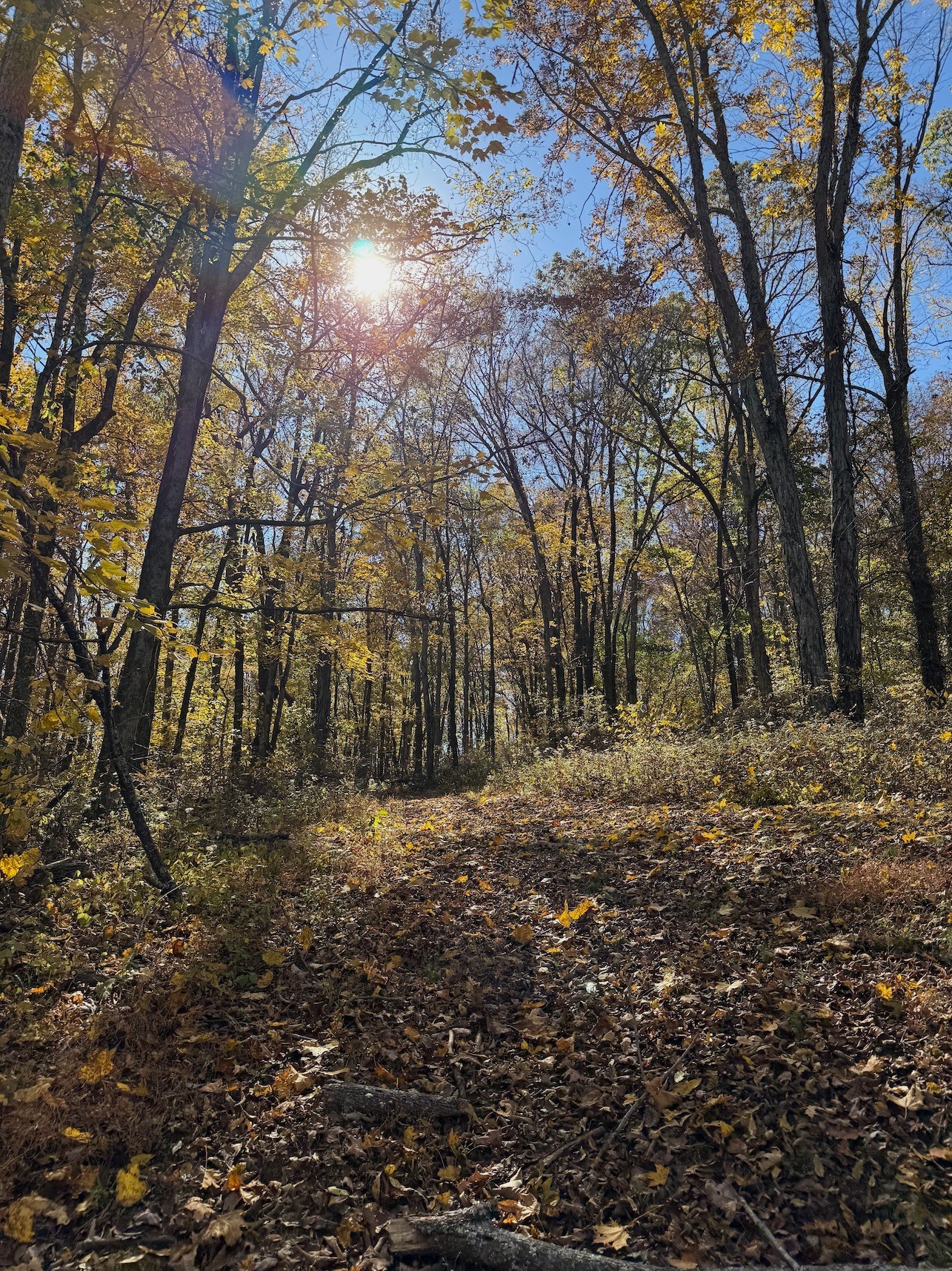 3955 Kennedy Creek Road Auburntown TN 37016