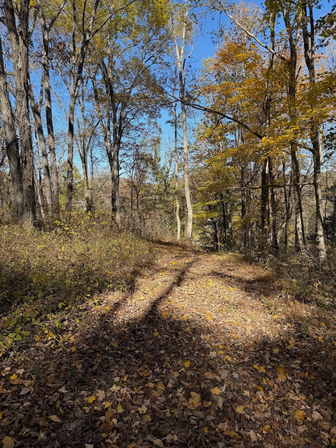 3955 Kennedy Creek Road Auburntown TN 37016