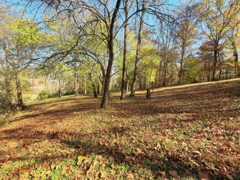 3955 Kennedy Creek Road Auburntown TN 37016