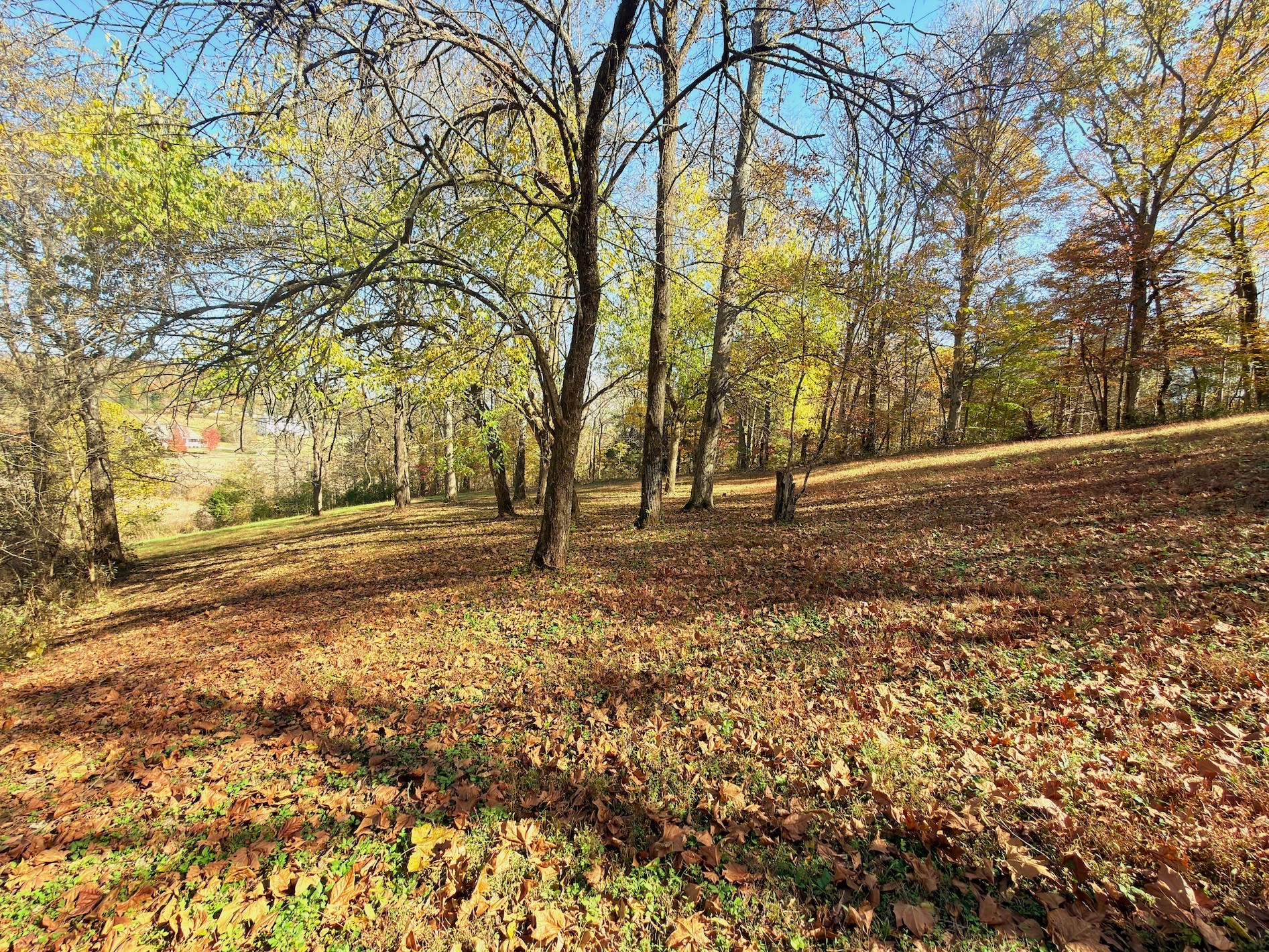 3955 Kennedy Creek Road Auburntown TN 37016