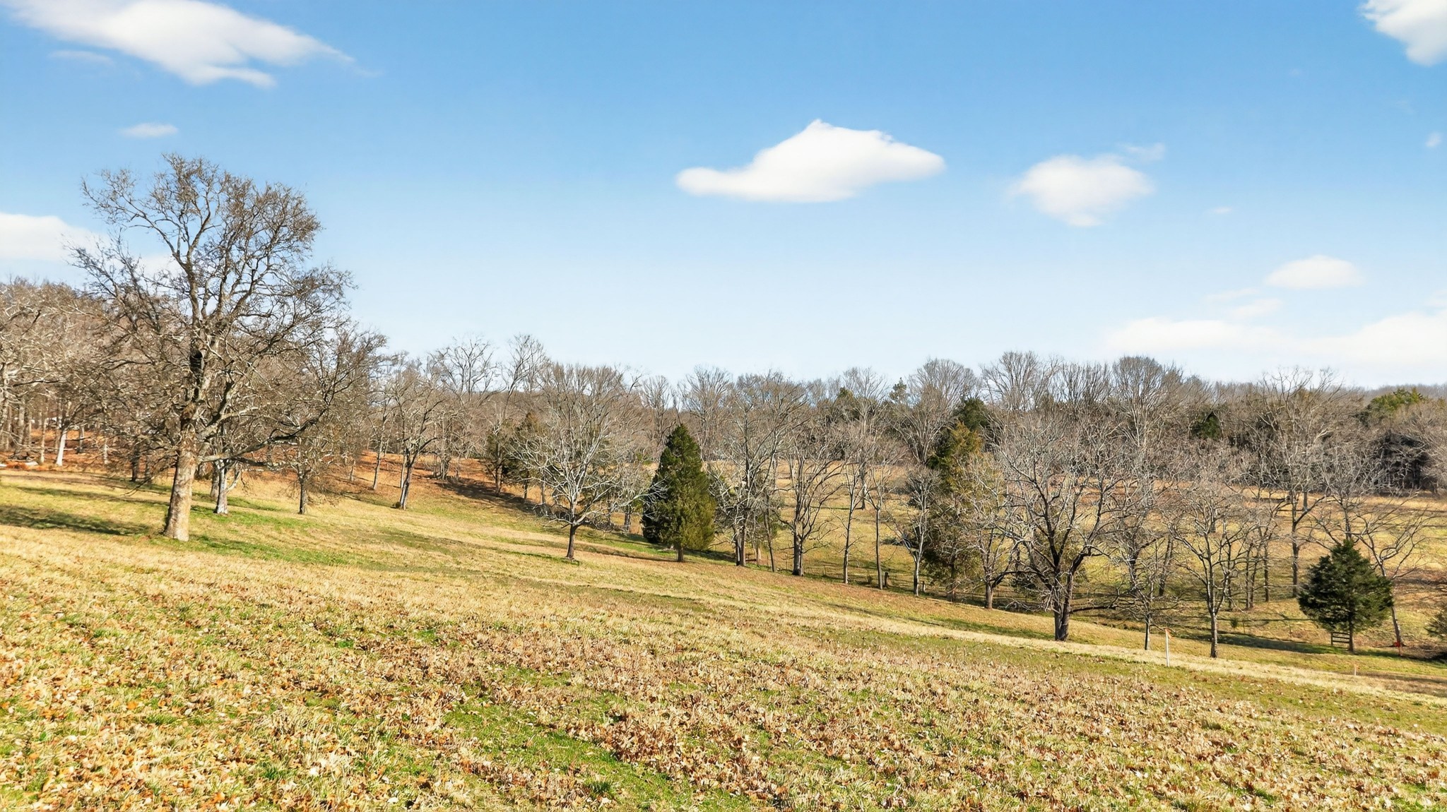 8 Collier Lane Gallatin TN 37066