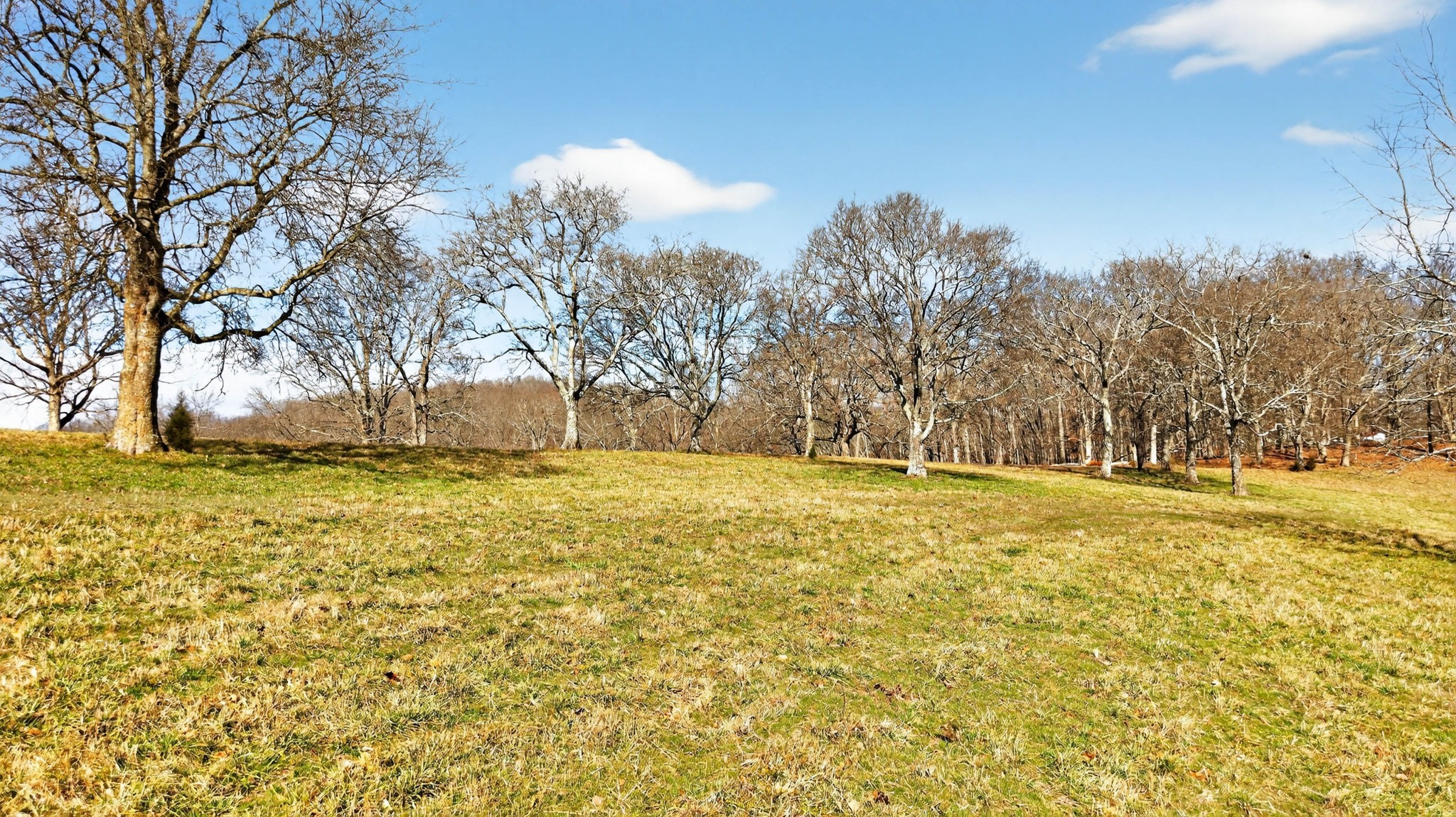 8 Collier Lane Gallatin TN 37066