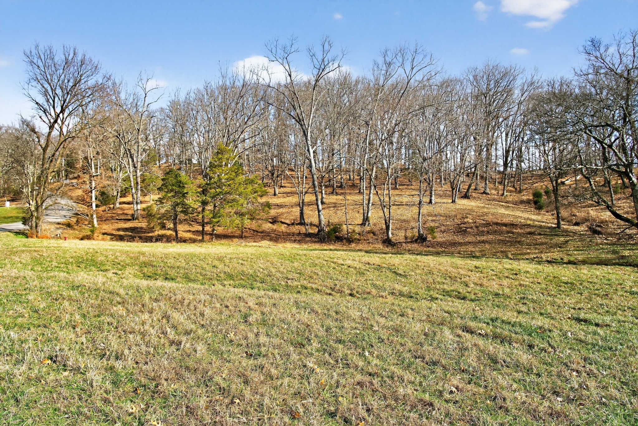 8 Collier Lane Gallatin TN 37066