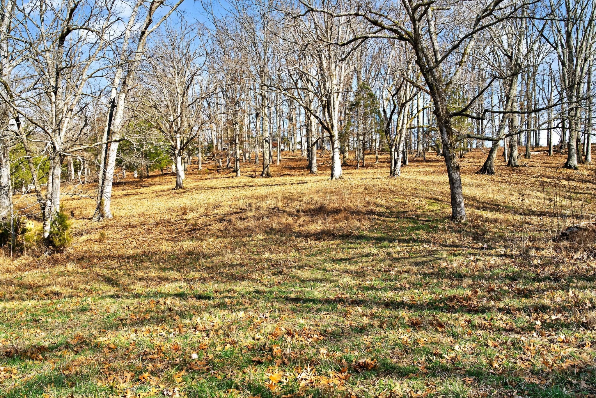 8 Collier Lane Gallatin TN 37066