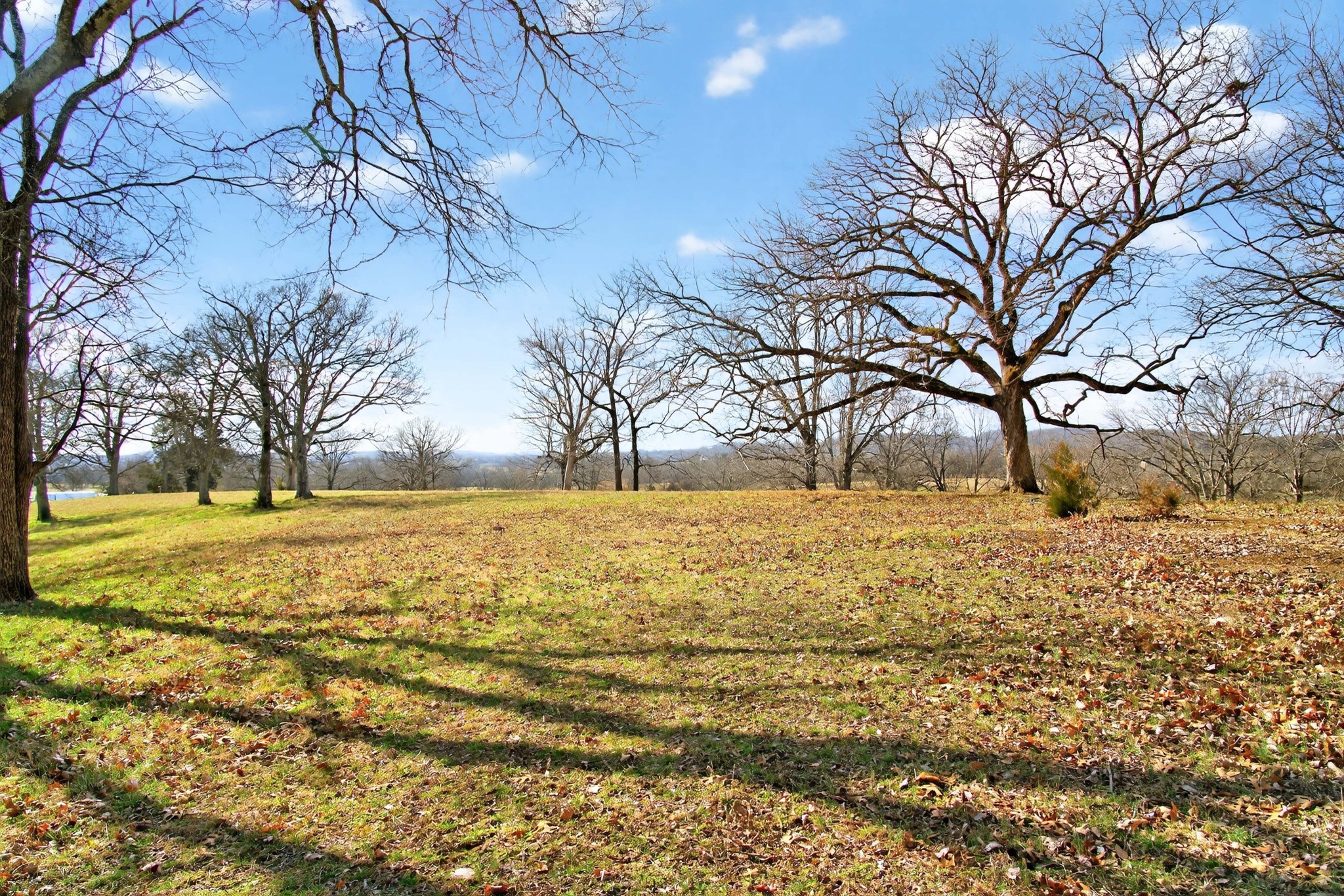 8 Collier Lane Gallatin TN 37066