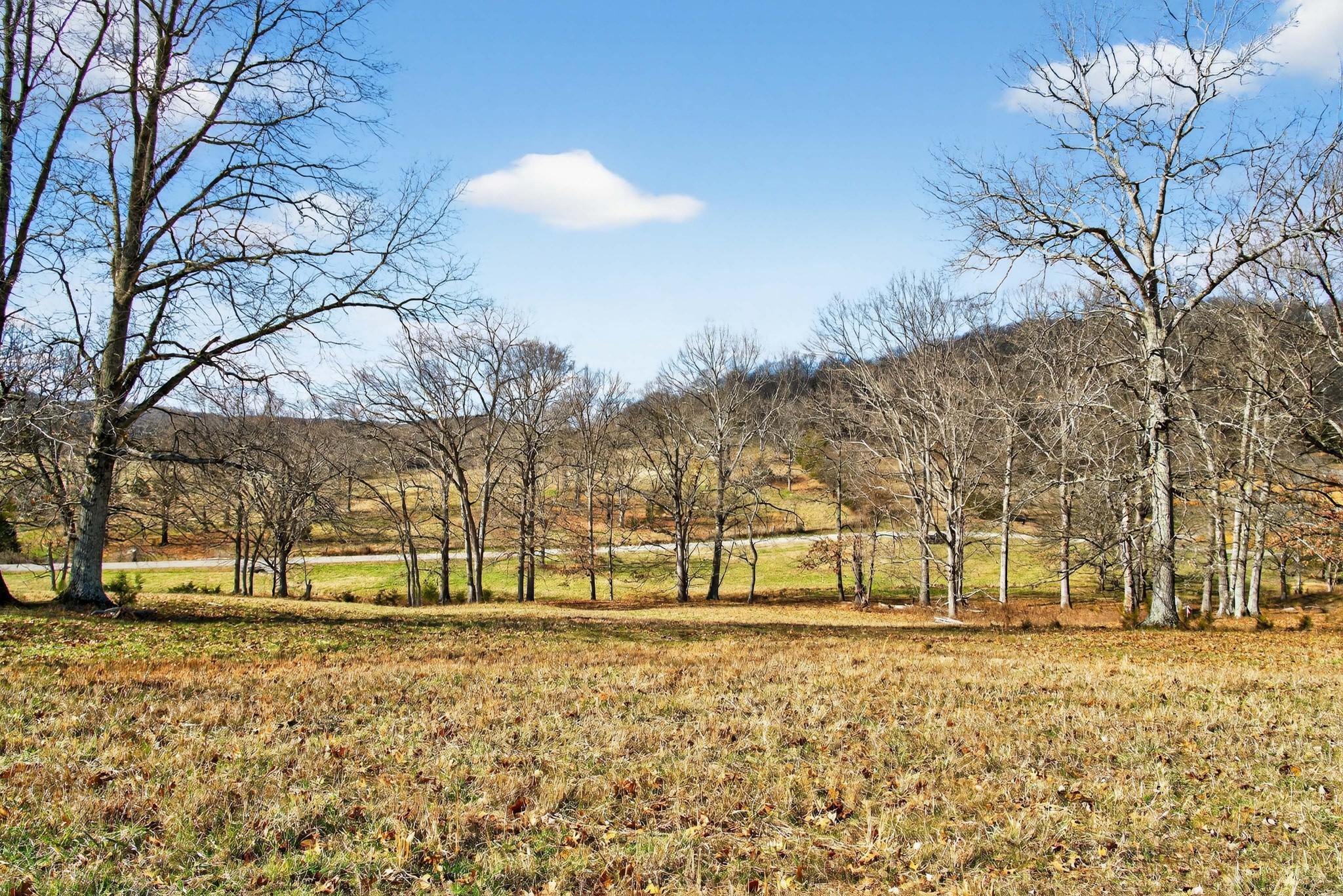 8 Collier Lane Gallatin TN 37066