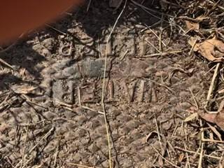 3820 Redding Road Chattanooga TN 37415