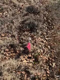 3820 Redding Road Chattanooga TN 37415