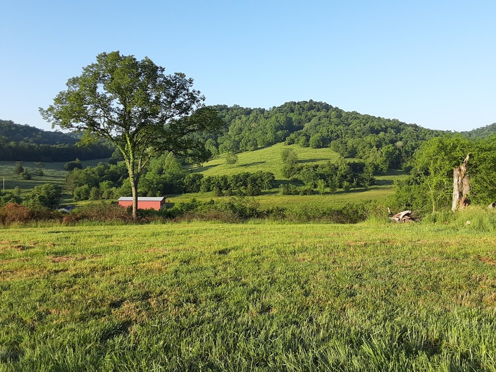 222 Cook Hollow Lane Pleasant Shade TN 37145