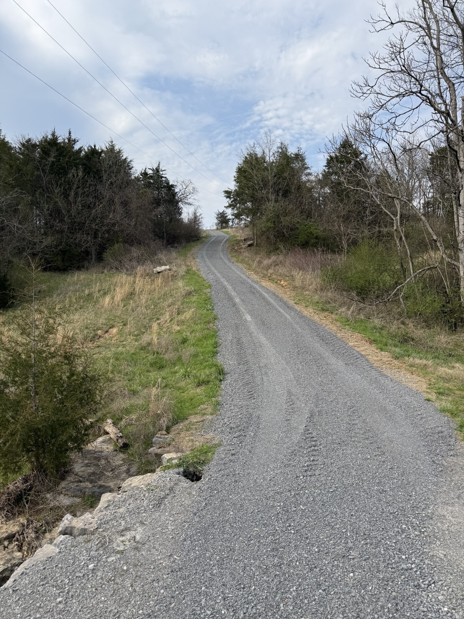 222 Cook Hollow Lane Pleasant Shade TN 37145