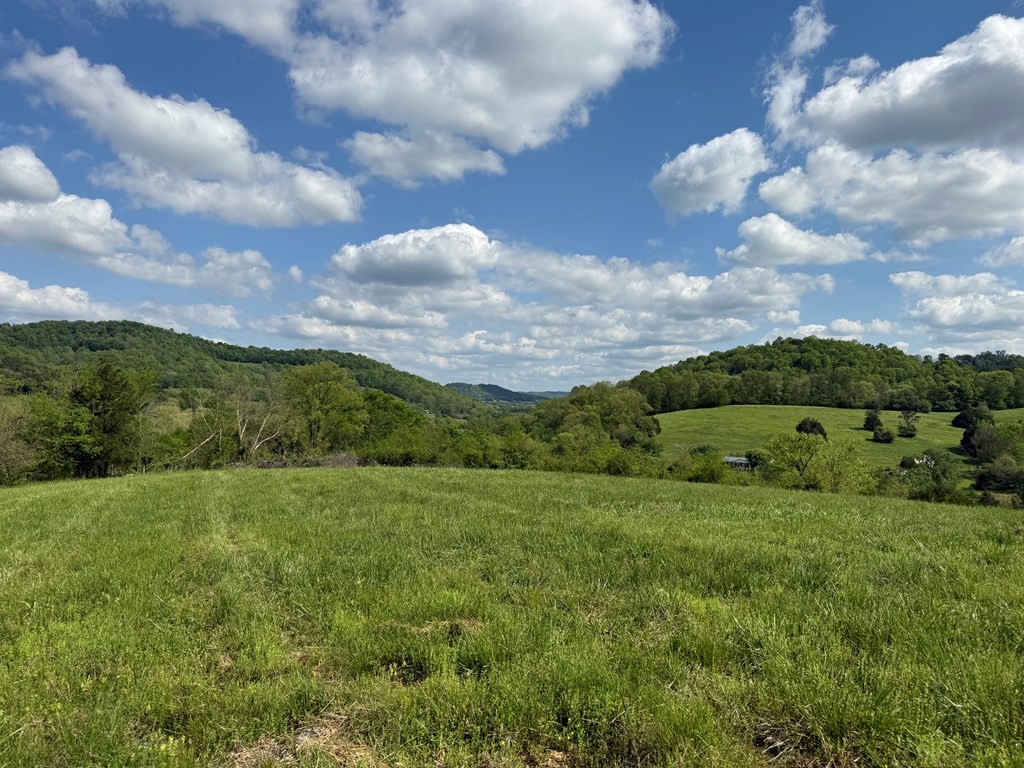 222 Cook Hollow Lane Pleasant Shade TN 37145