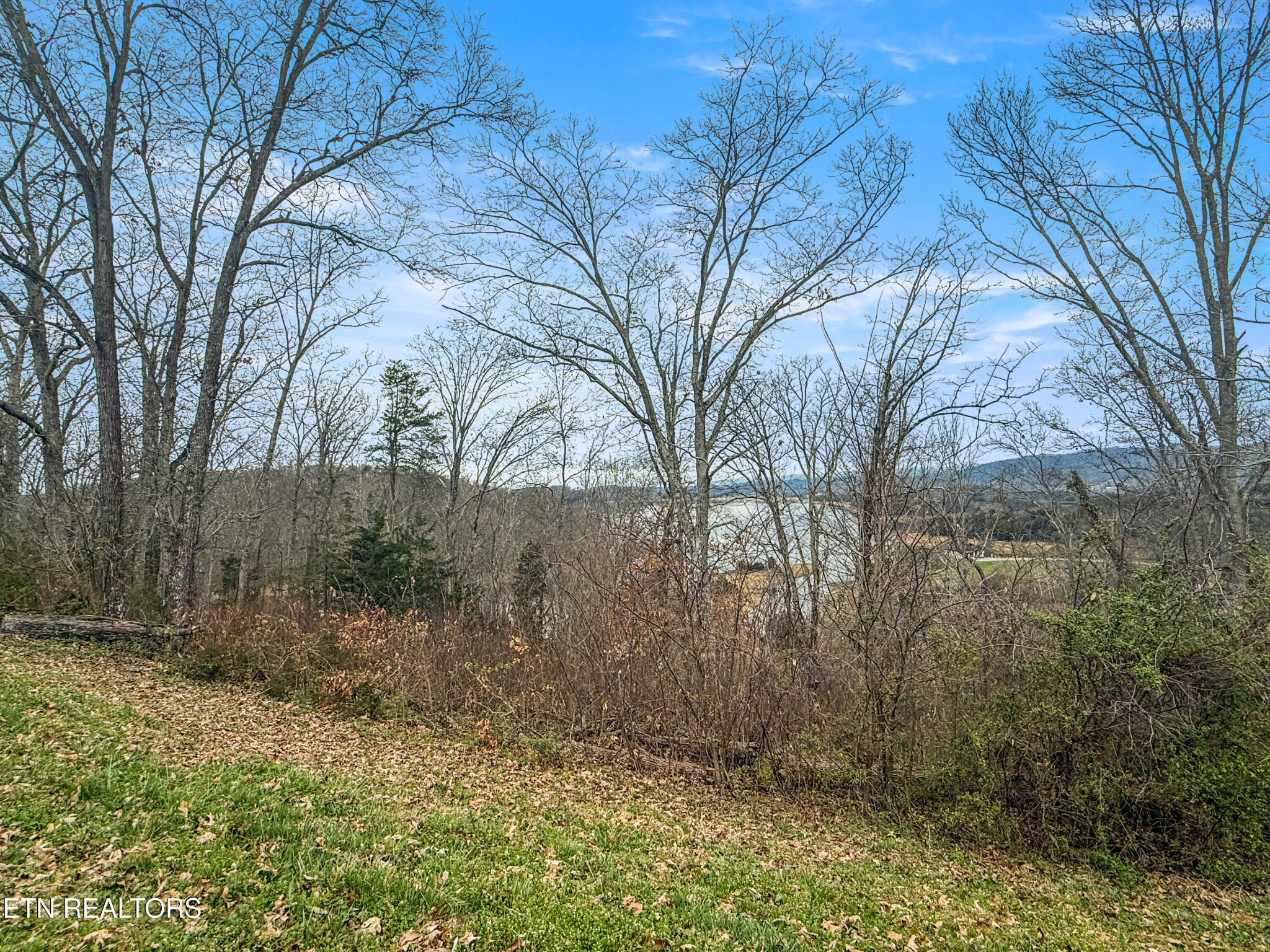 2025 Turner Landing Road Russellville TN 37860