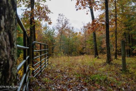 0 Trailhead Lane Jamestown TN 38556