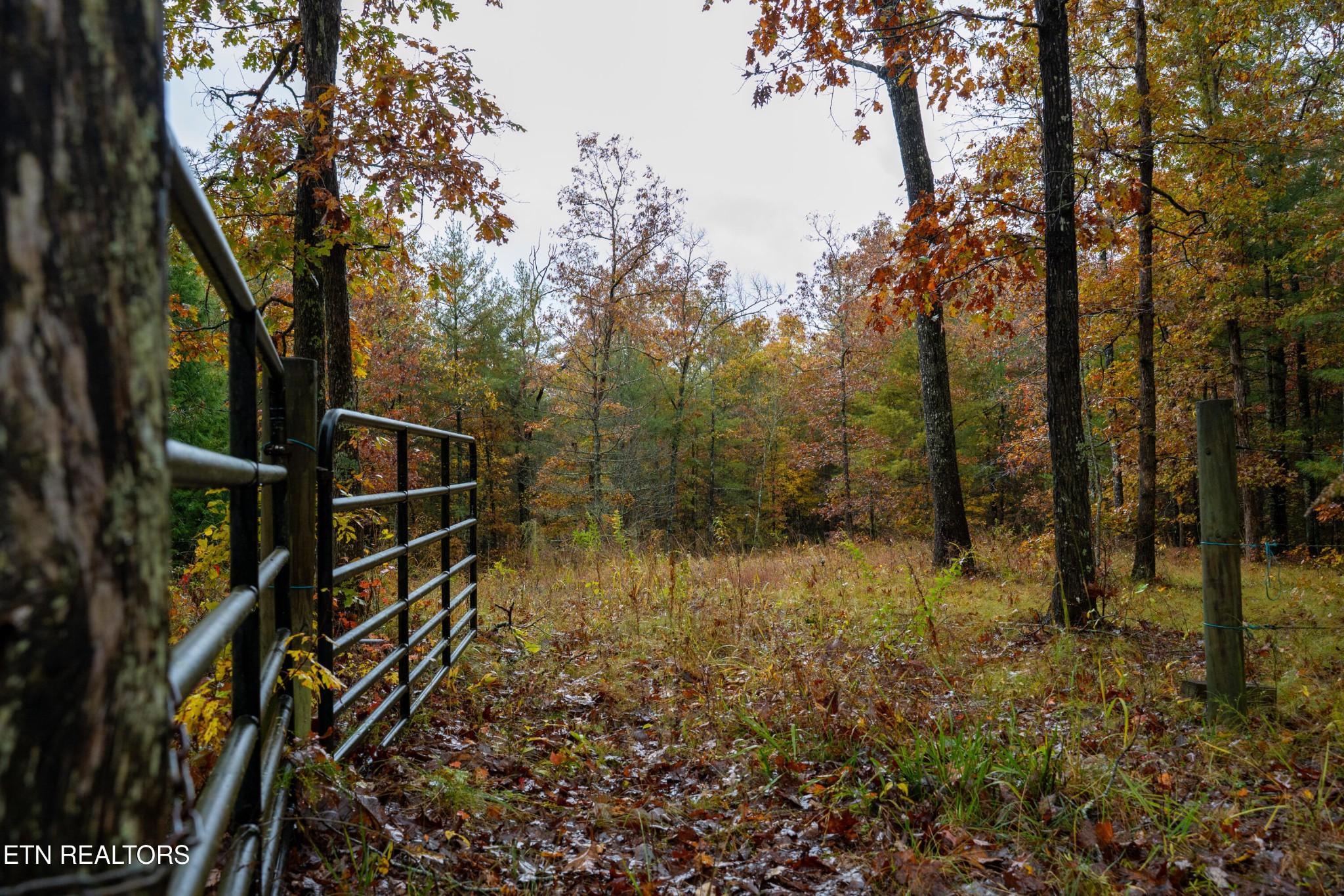 0 Trailhead Lane Jamestown TN 38556