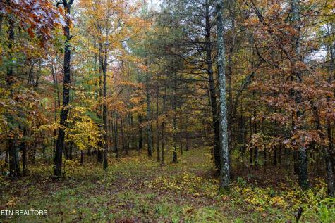0 Trailhead Lane Jamestown TN 38556