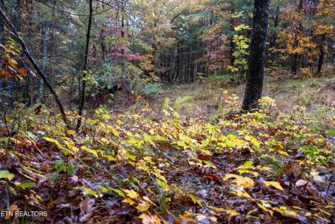 0 Trailhead Lane Jamestown TN 38556