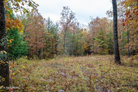 0 Trailhead Lane Jamestown TN 38556