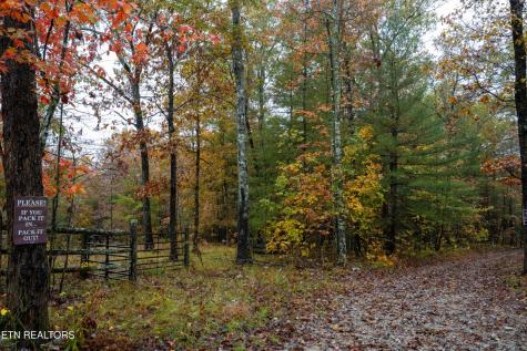 0 Trailhead Lane Jamestown TN 38556