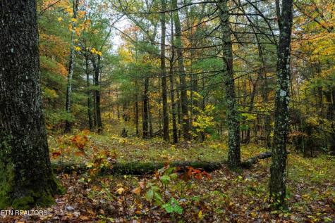 0 Trailhead Lane Jamestown TN 38556