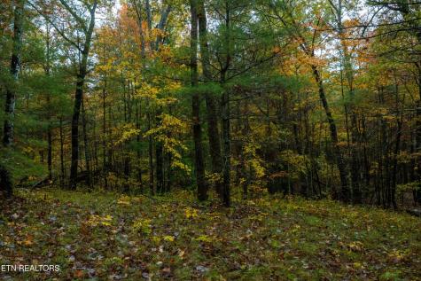 0 Trailhead Lane Jamestown TN 38556