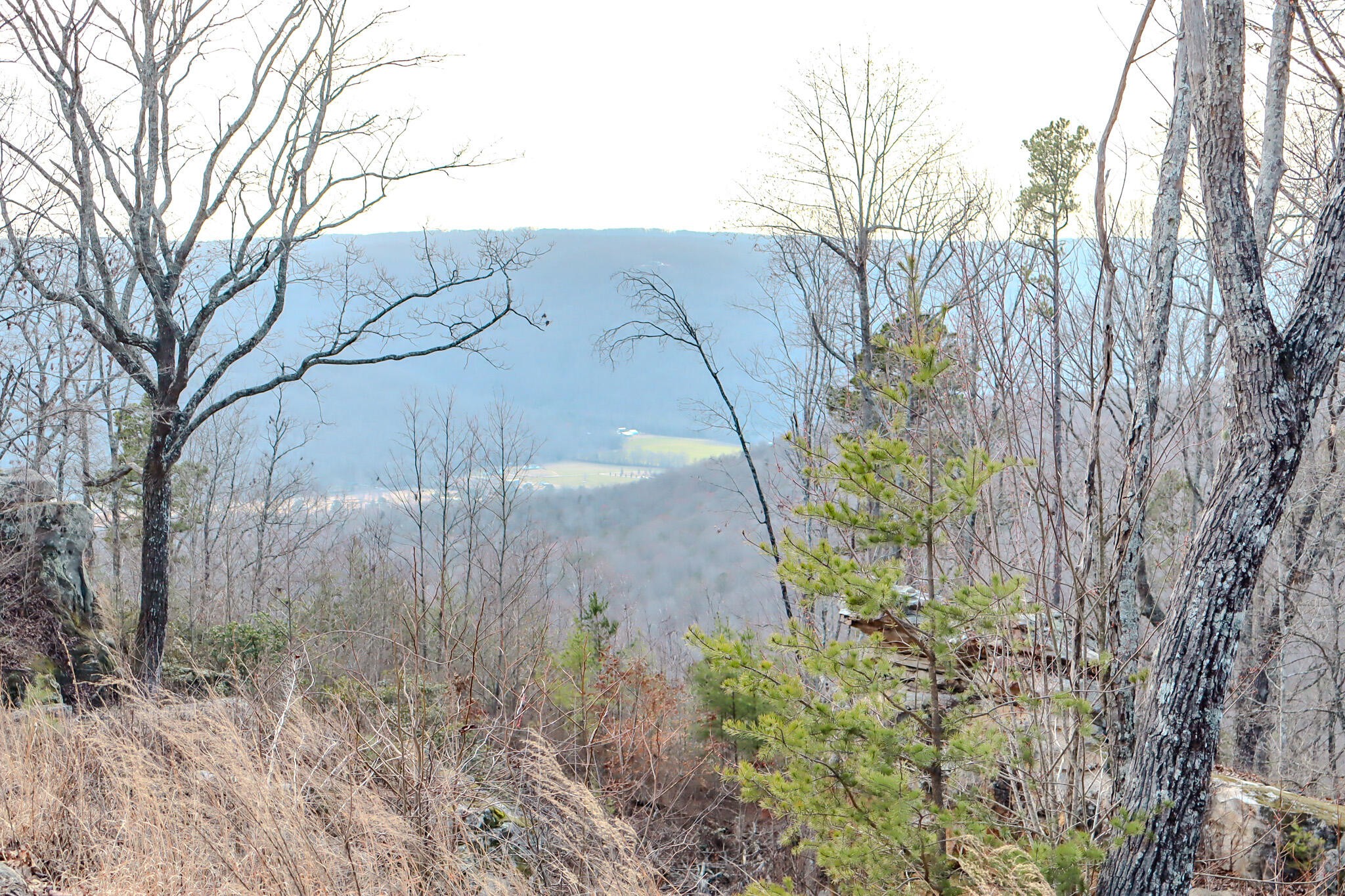 0 River View Court Jasper TN 37347
