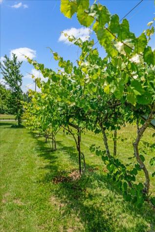365 Morrison Spring Road Whitwell TN 37397