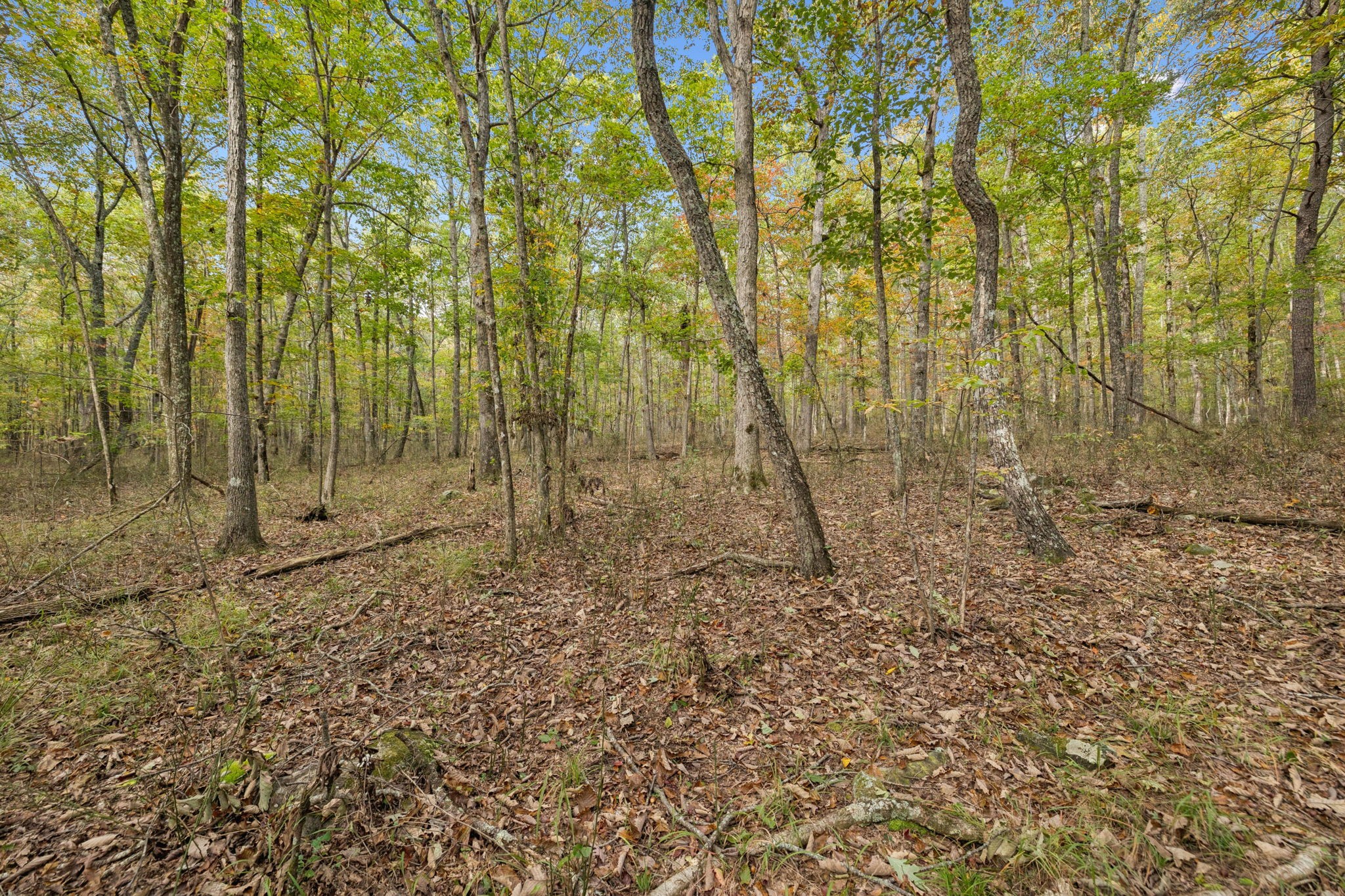 0 Timberwood Trace Monteagle TN 37356
