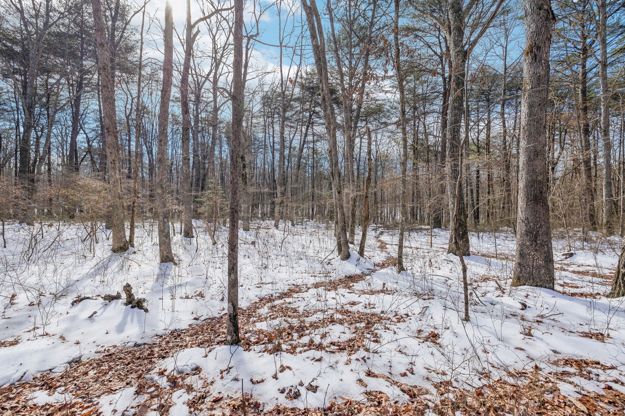 0 Timberwood Trace Monteagle TN 37356