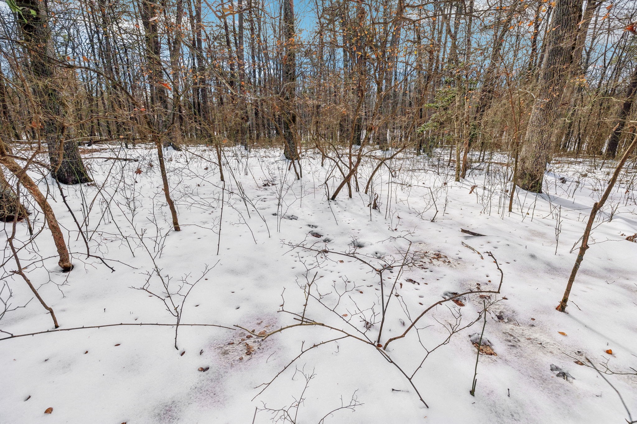 0 Timberwood Trace Monteagle TN 37356