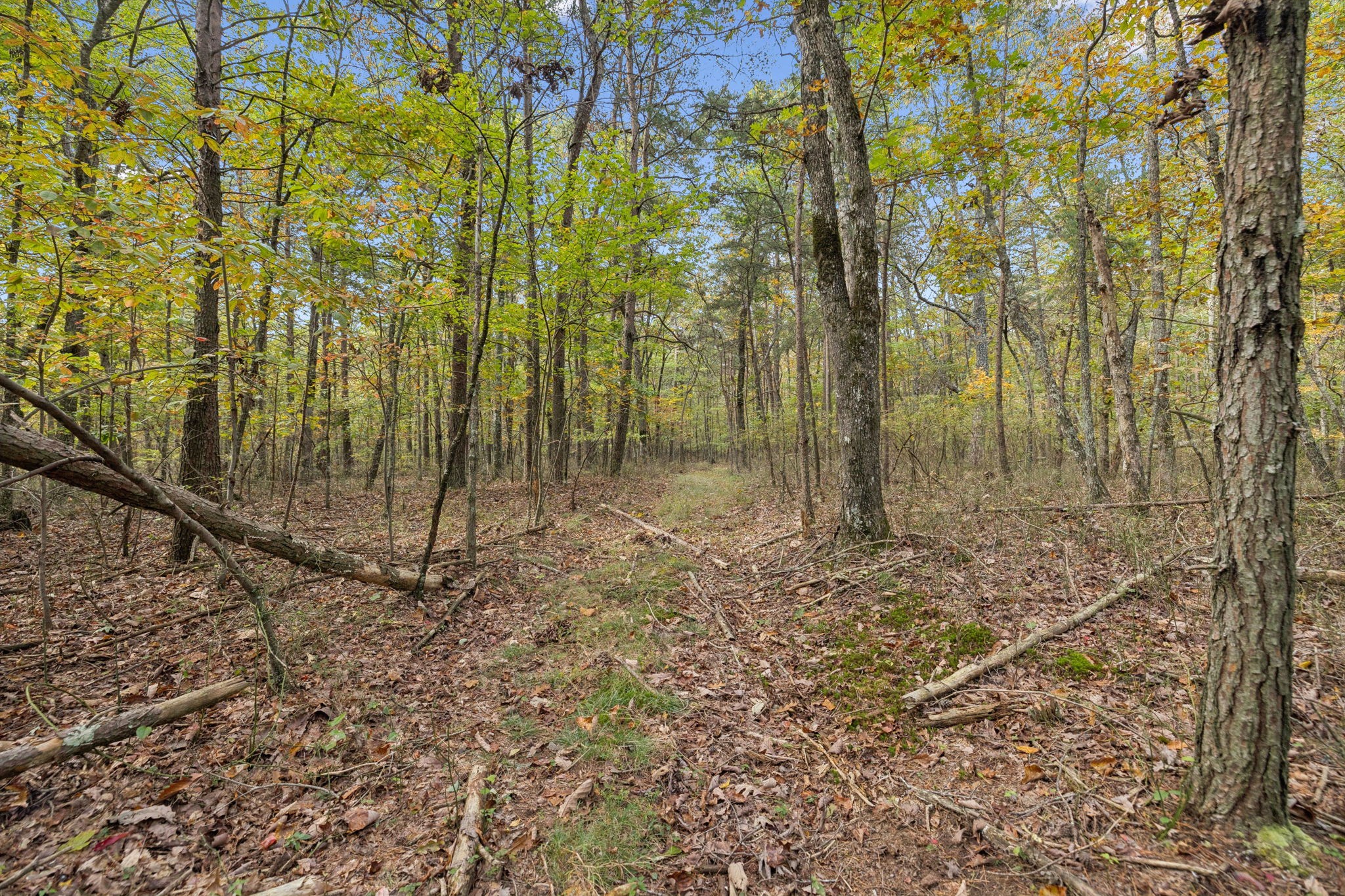0 Timberwood Trace Monteagle TN 37356