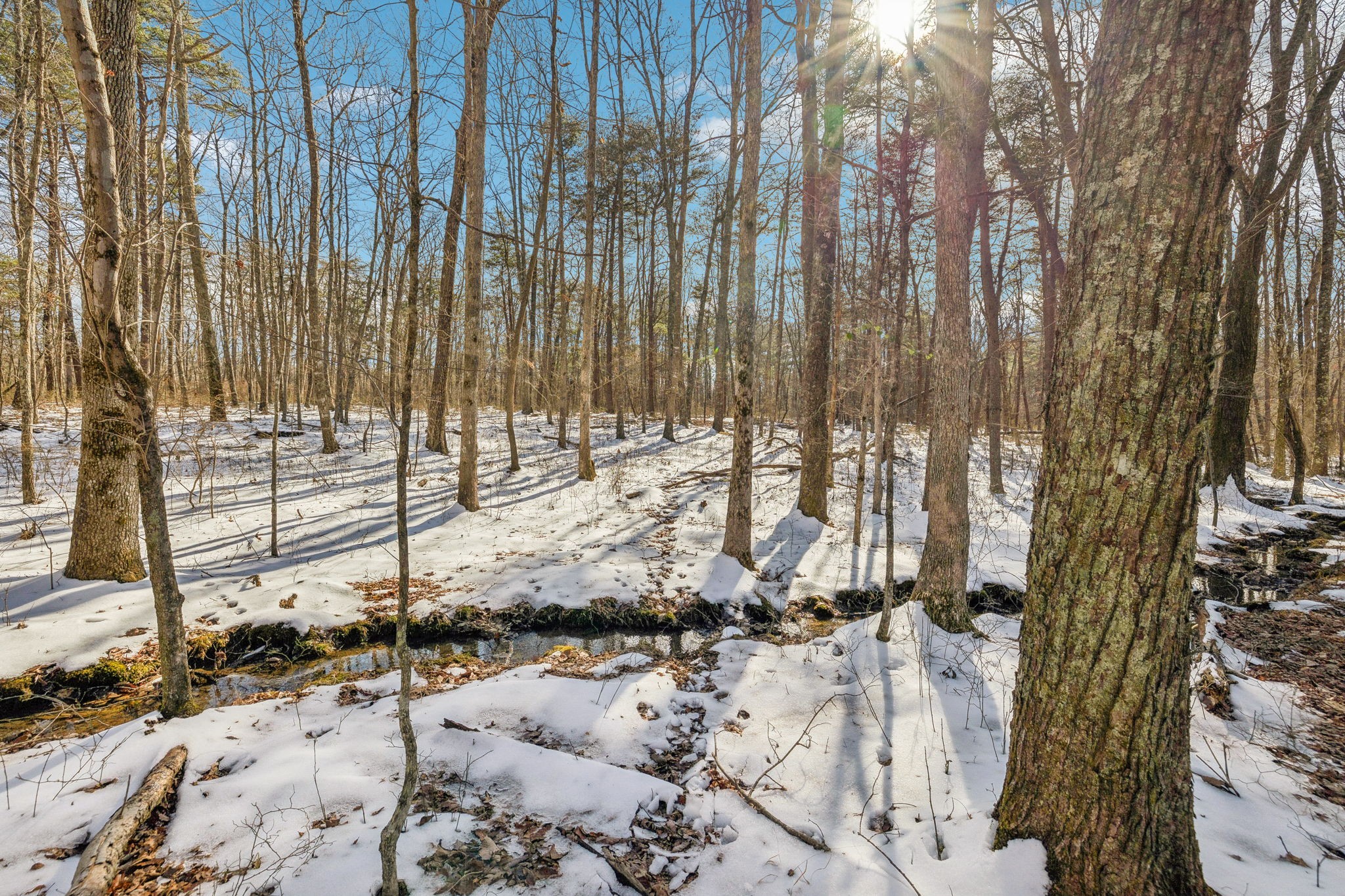 0 Timberwood Trace Monteagle TN 37356
