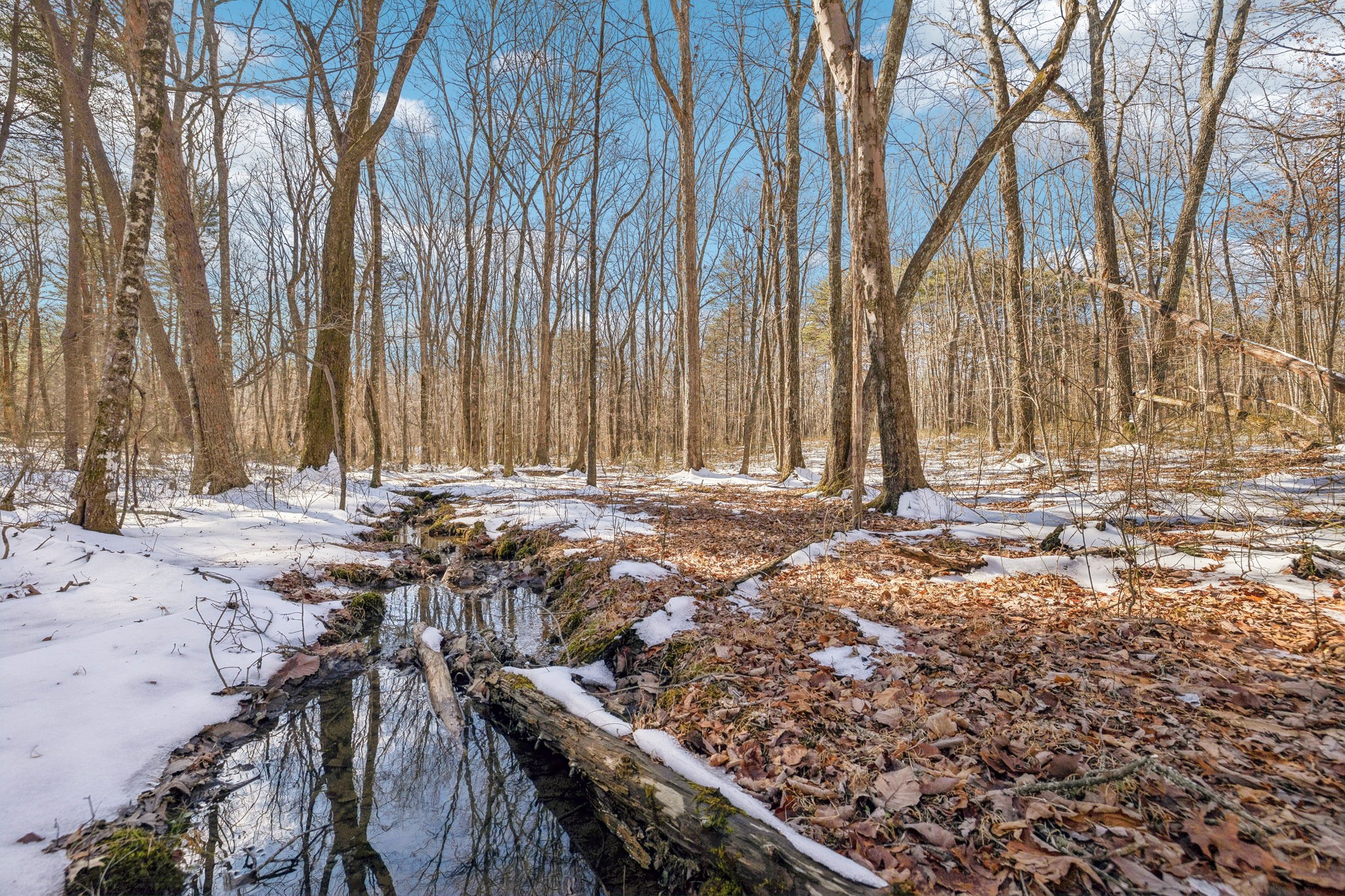 0 Timberwood Trace Monteagle TN 37356