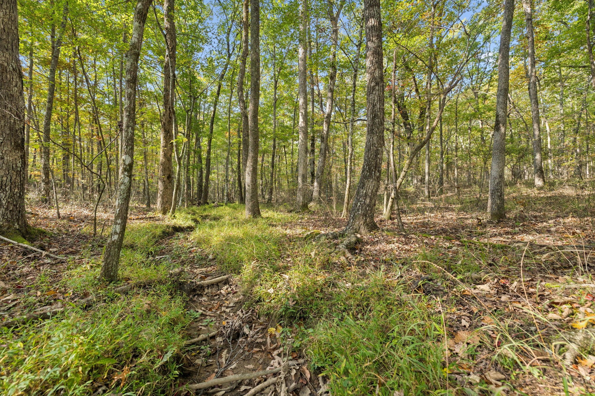 0 Timberwood Trace Monteagle TN 37356