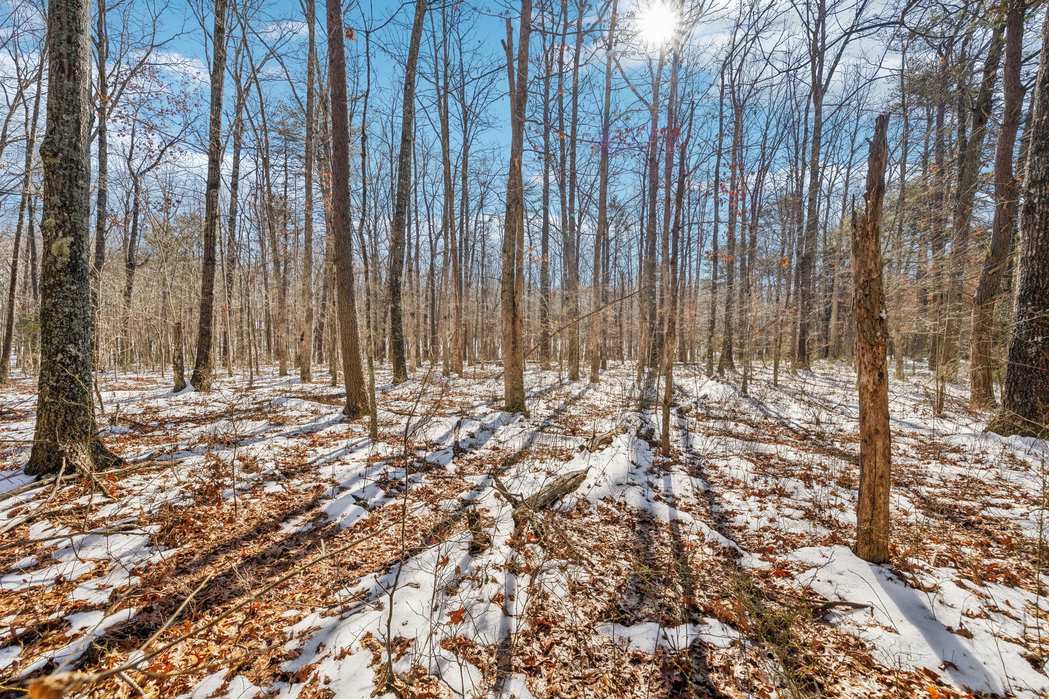 0 Timberwood Trace Monteagle TN 37356