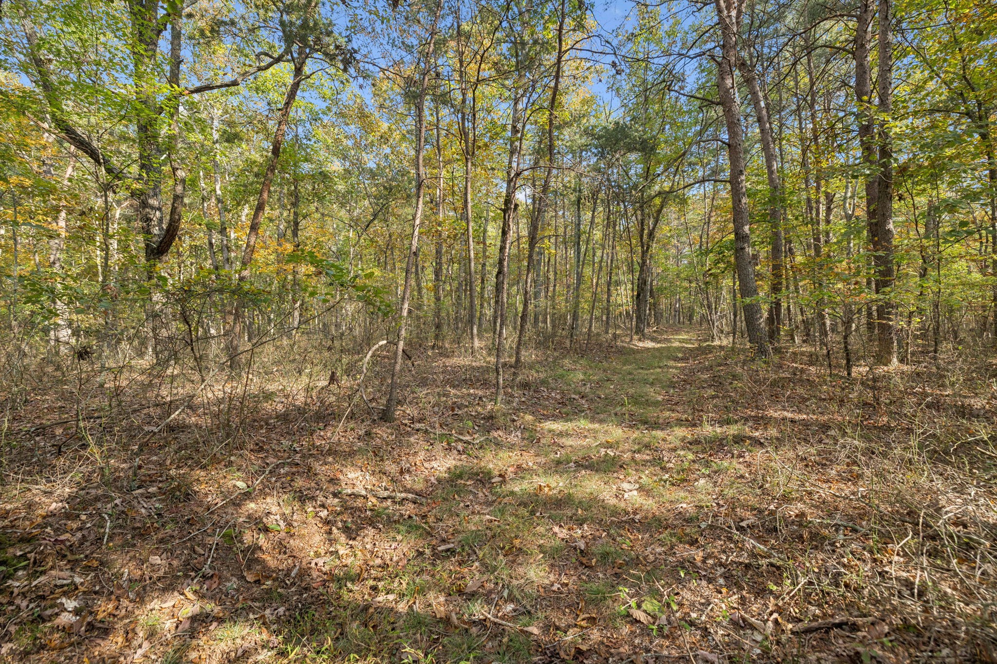 0 Timberwood Trace Monteagle TN 37356