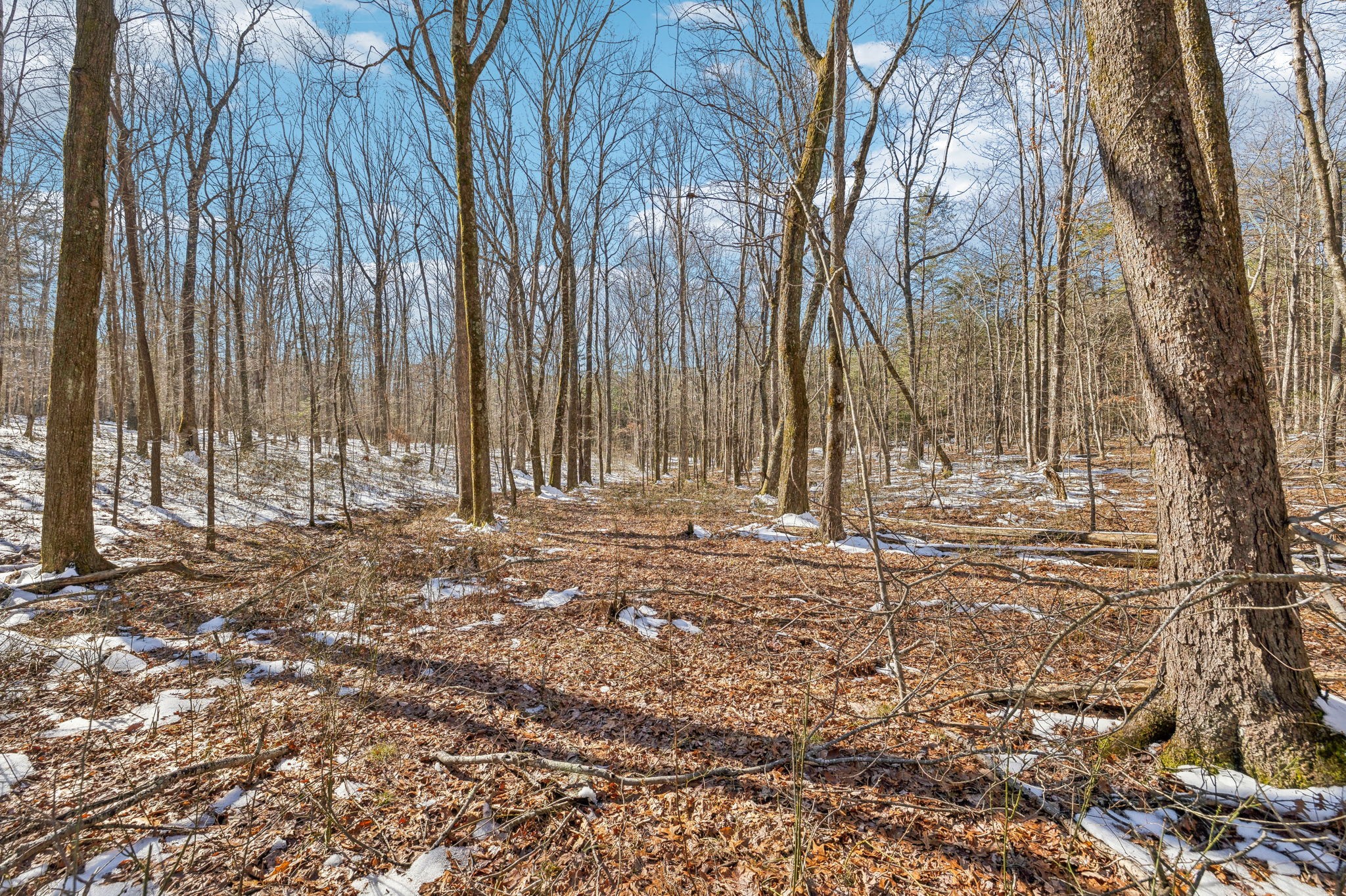 0 Timberwood Trace Monteagle TN 37356