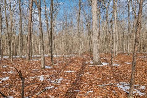 0 Timberwood Trace Monteagle TN 37356