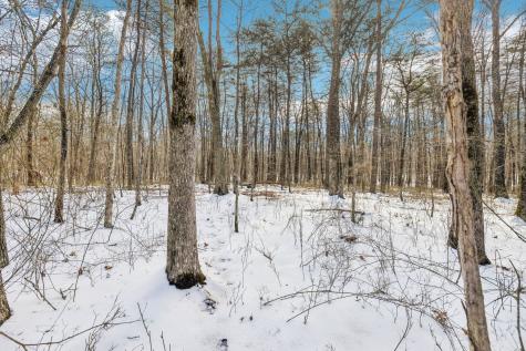 0 Timberwood Trace Monteagle TN 37356