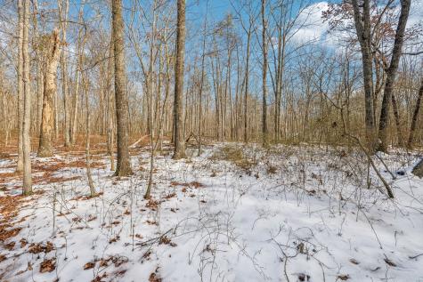 0 Timberwood Trace Monteagle TN 37356